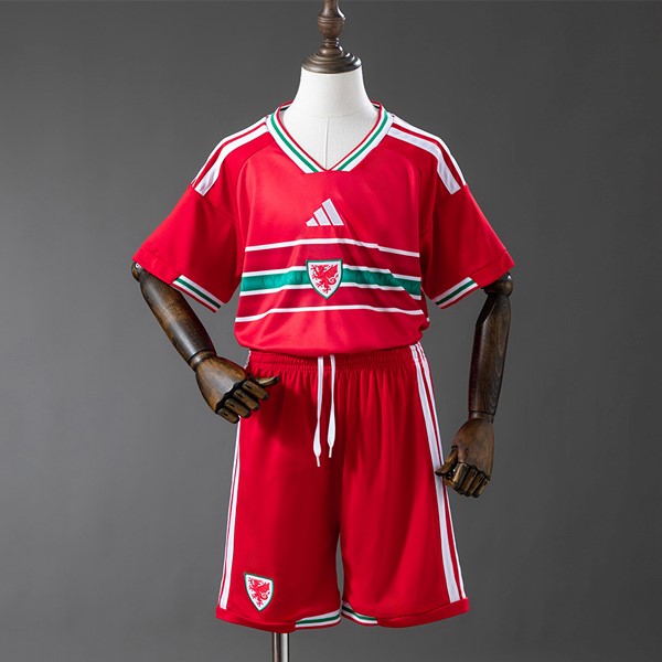 Camiseta Gales 1ª Niño 2026